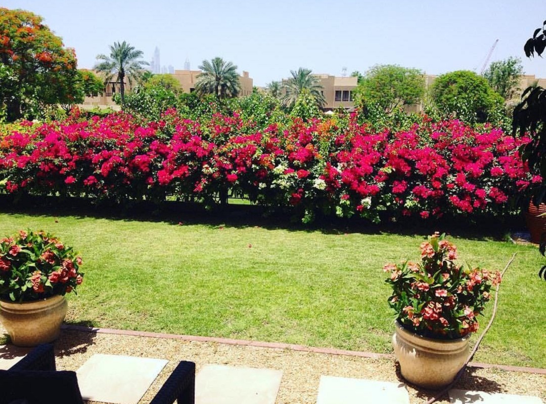 Home greenway flowers (1)