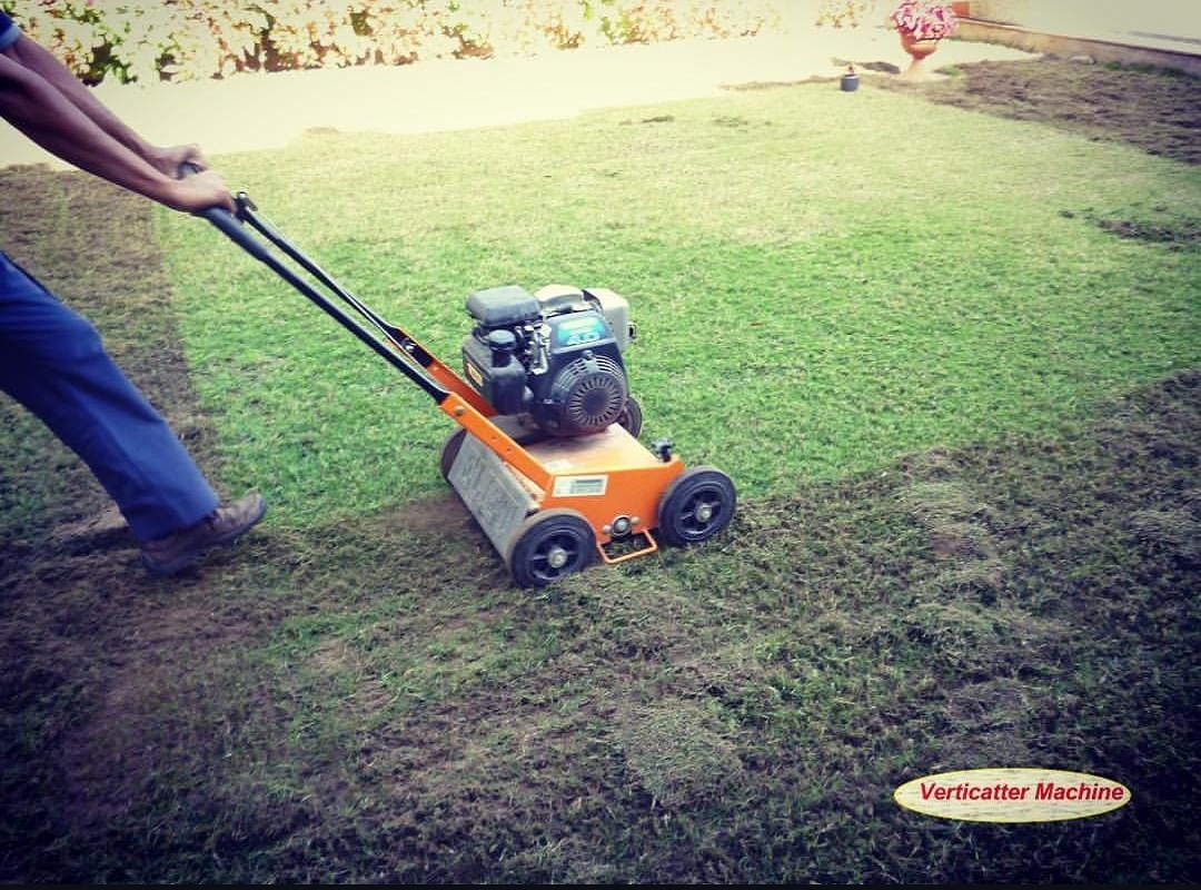 Home greenway flowers (3)