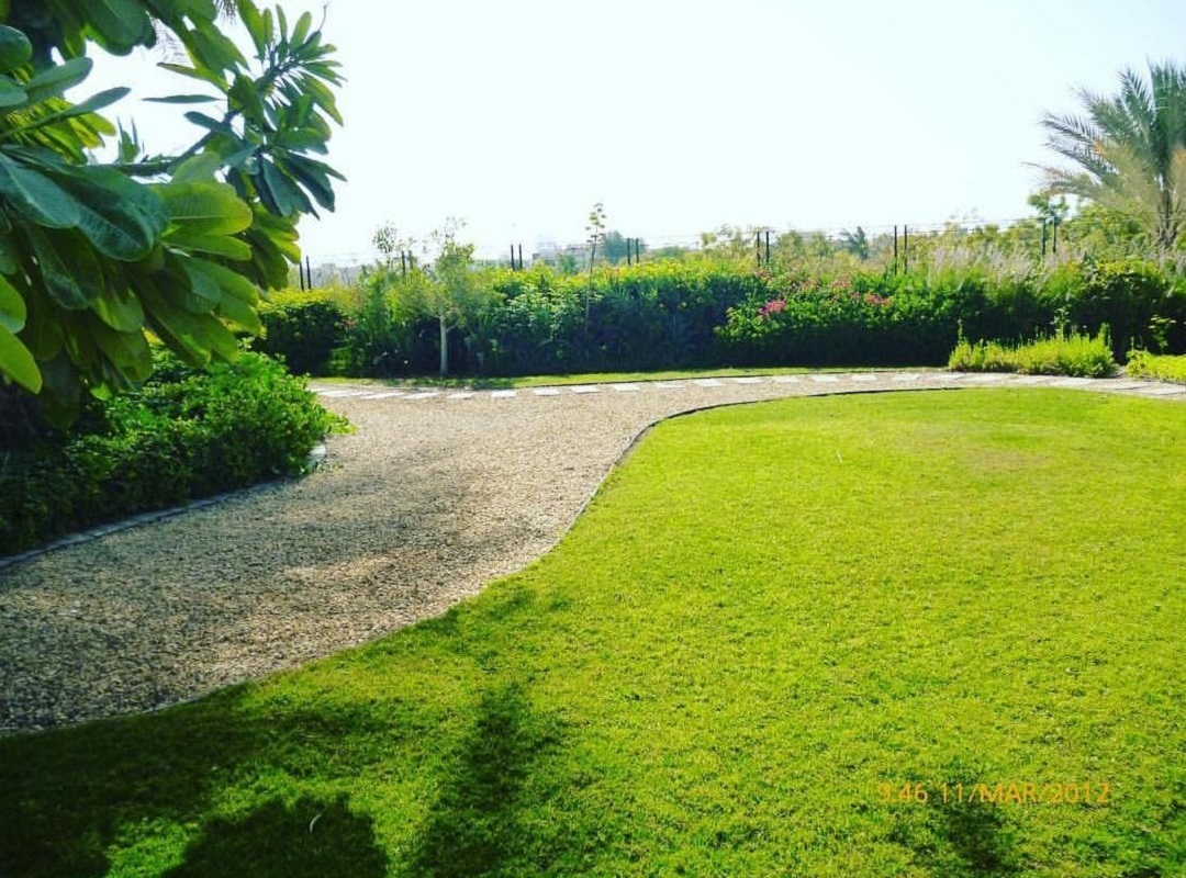 Home greenway flowers landcaping services dubai uae (12)