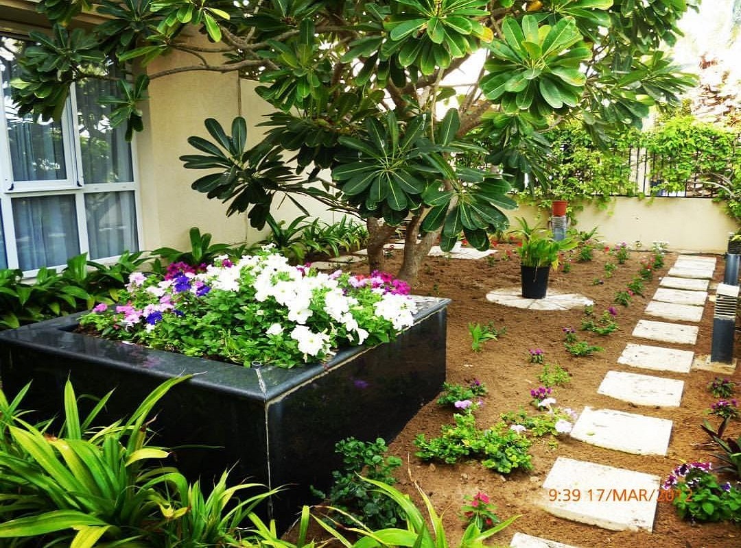 Home greenway flowers landcaping services dubai uae (14)