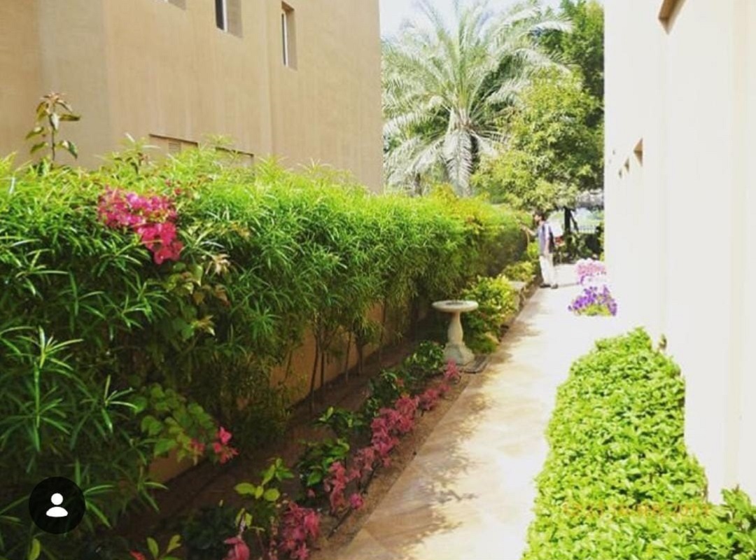 Home greenway flowers landcaping services dubai uae (2)