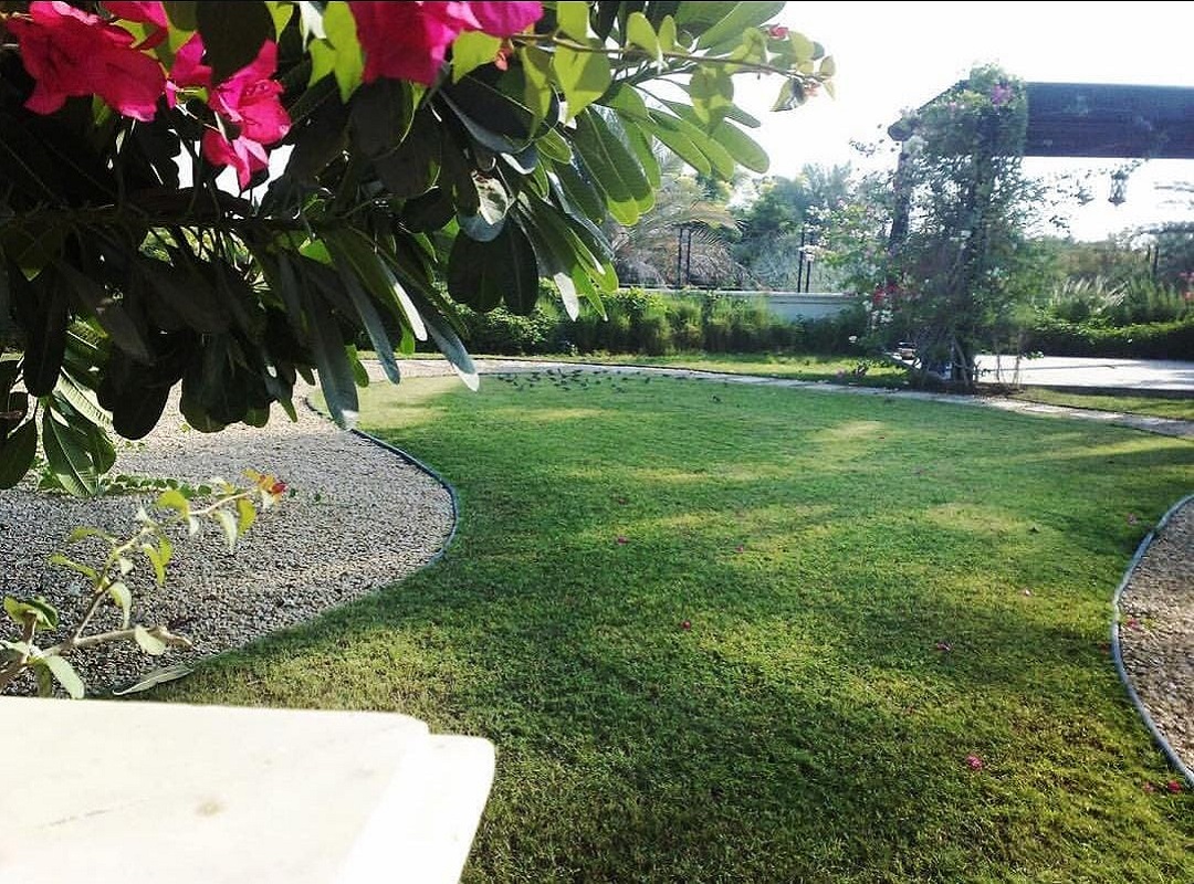 Home greenway flowers landcaping services dubai uae (4)