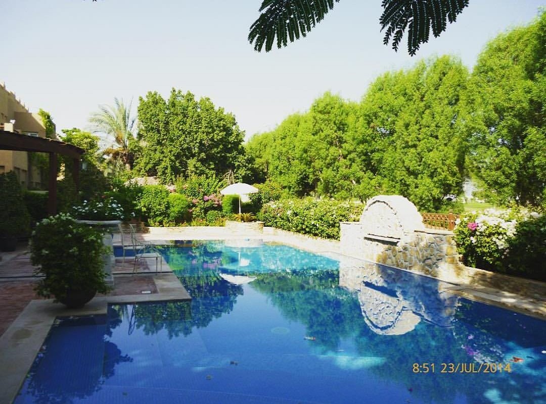 Home greenway flowers landcaping services dubai uae (7)